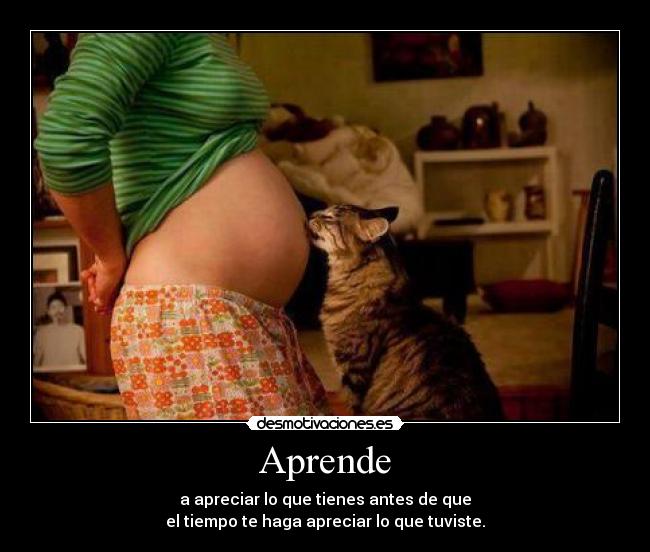 Aprende - 