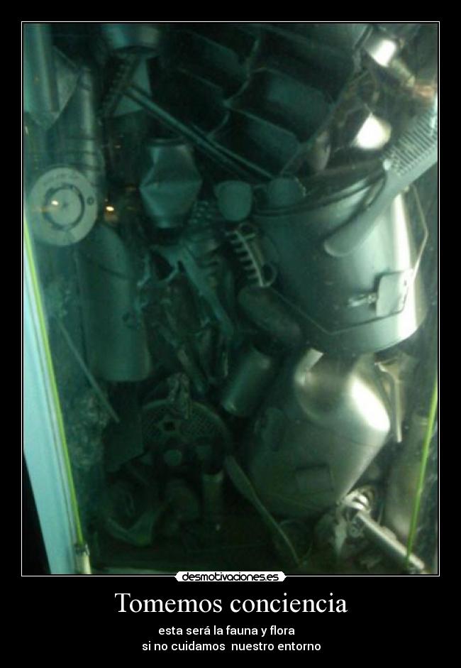 carteles imagen del acuarium barcelona desmotivaciones