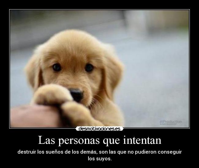 Las personas que intentan - destruir los sueños de los demás, son las que no pudieron conseguir los suyos.