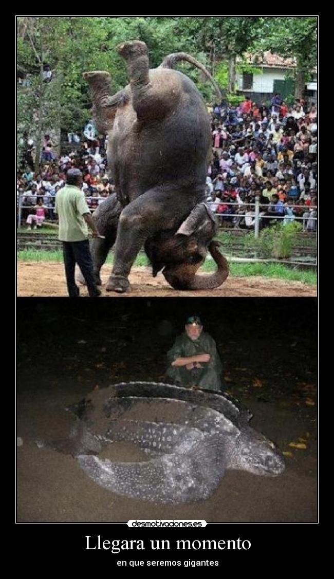 Llegara un momento - en que seremos gigantes