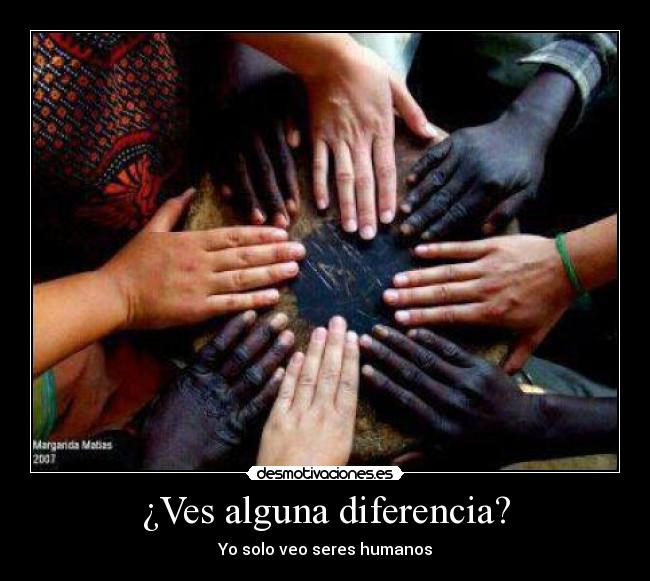 ¿Ves alguna diferencia? - 