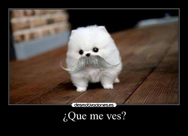 ¿Que me ves? -