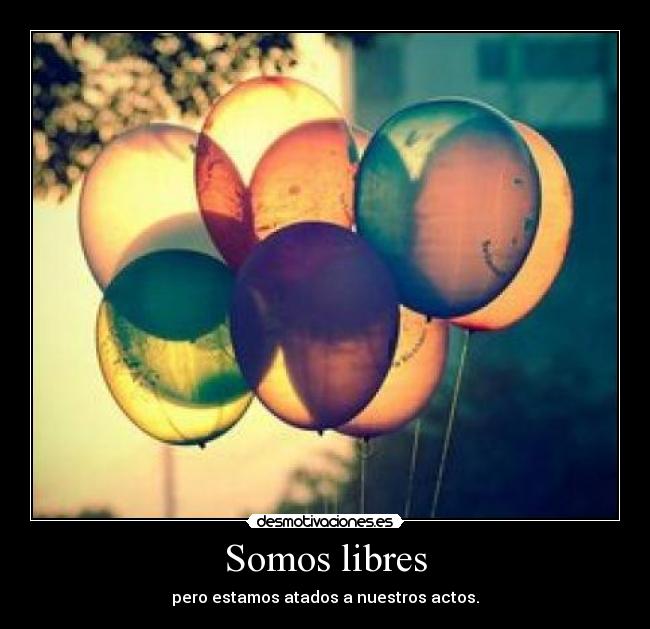 Somos libres -