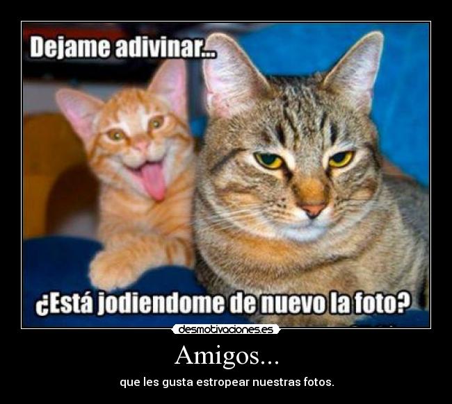 Amigos... -