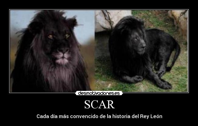 carteles scar mufasa rey leon desmotivaciones