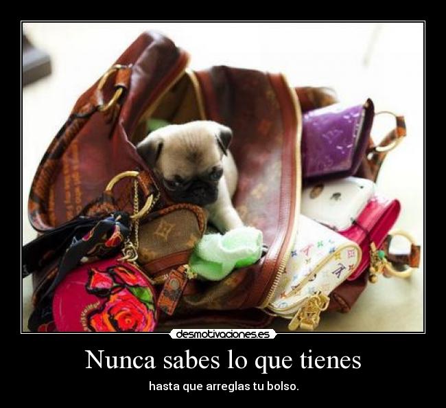 Nunca sabes lo que tienes - hasta que arreglas tu bolso.