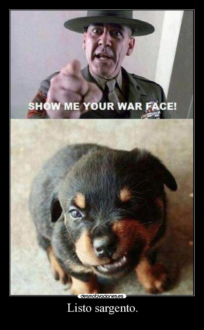Listo sargento. -