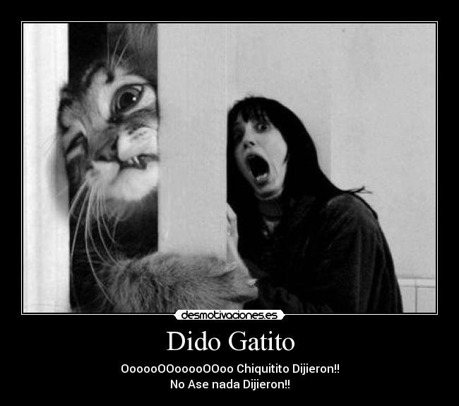 Dido Gatito - 