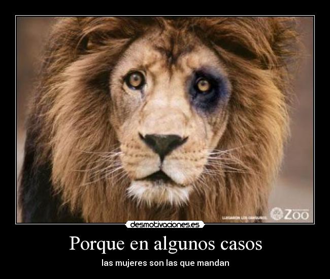Porque en algunos casos - las mujeres son las que mandan