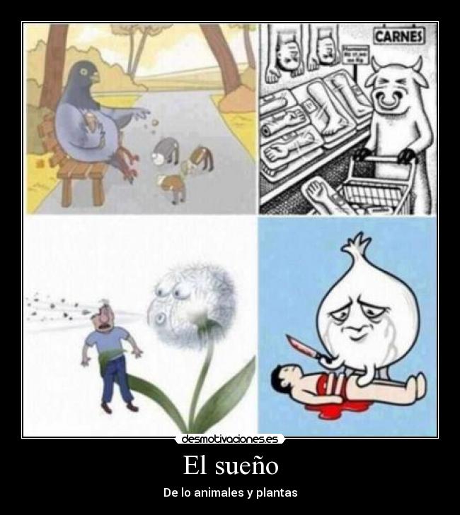 El sueño - De lo animales y plantas