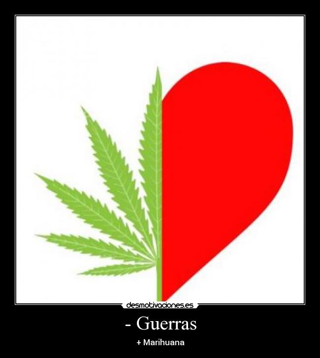 - Guerras - + Marihuana