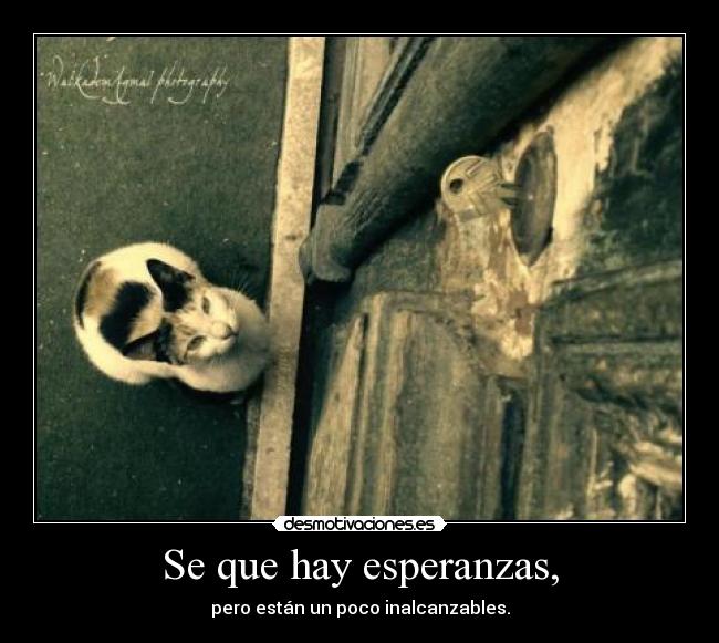 Se que hay esperanzas, -
