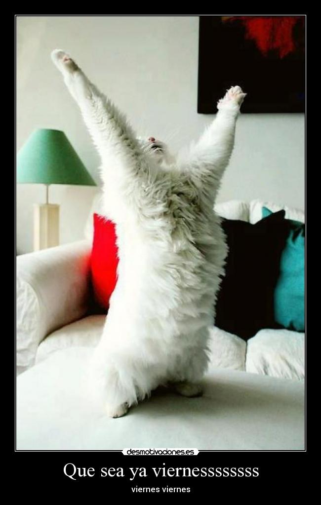 Que sea ya viernessssssss - 