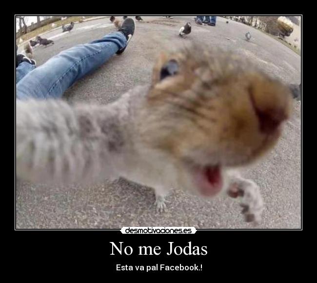 No me Jodas - Esta va pal Facebook.!
