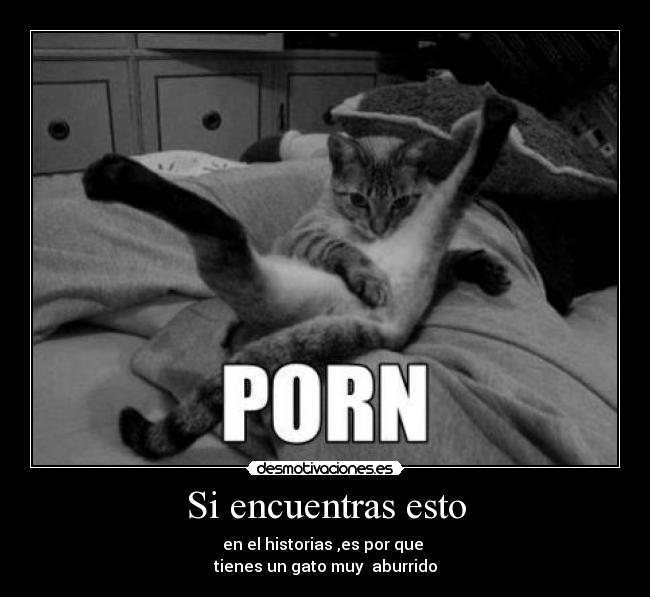 Si encuentras esto - en el historias ,es por que 
tienes un gato muy  aburrido