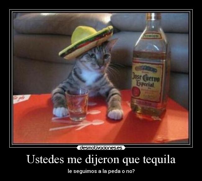 Ustedes me dijeron que tequila - le seguimos a la peda o no?