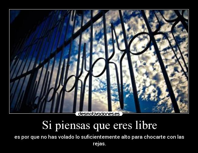Si piensas que eres libre - es por que no has volado lo suficientemente alto para chocarte con las rejas.