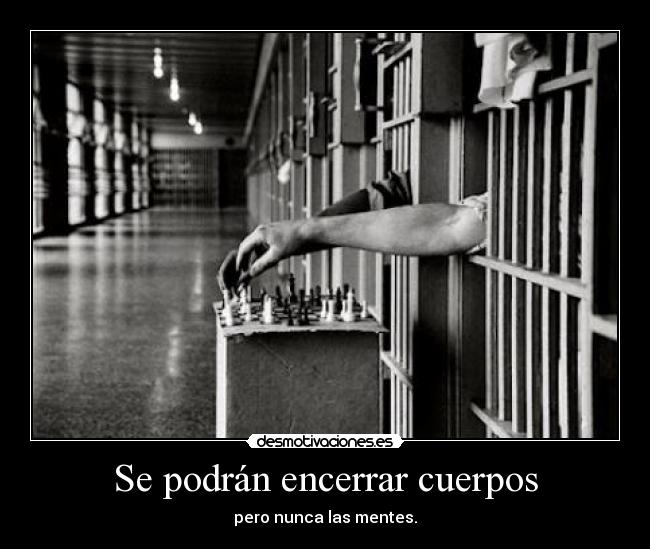 carteles ryuzakiauditore desmotivaciones