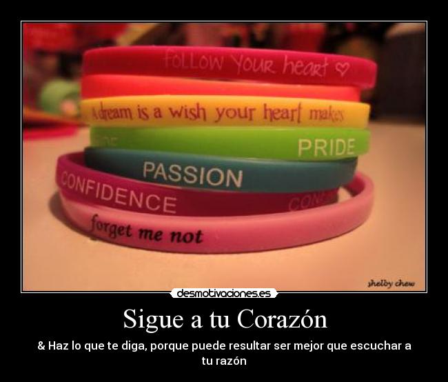 Sigue a tu Corazón - & Haz lo que te diga, porque puede resultar ser mejor que escuchar a tu razón