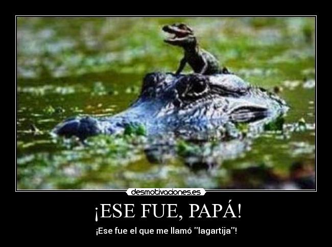 ¡ESE FUE, PAPÁ! - 