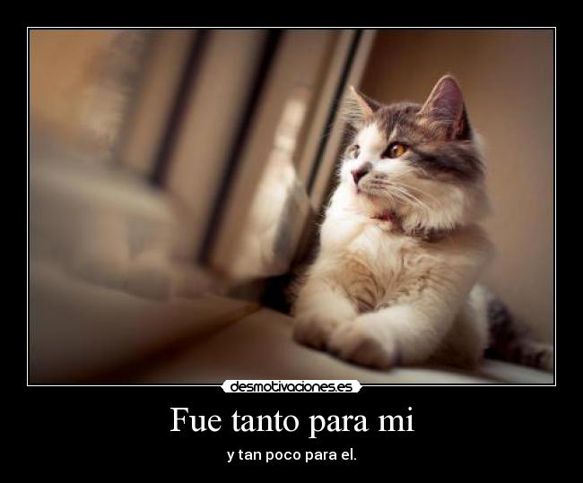Fue tanto para mi - 