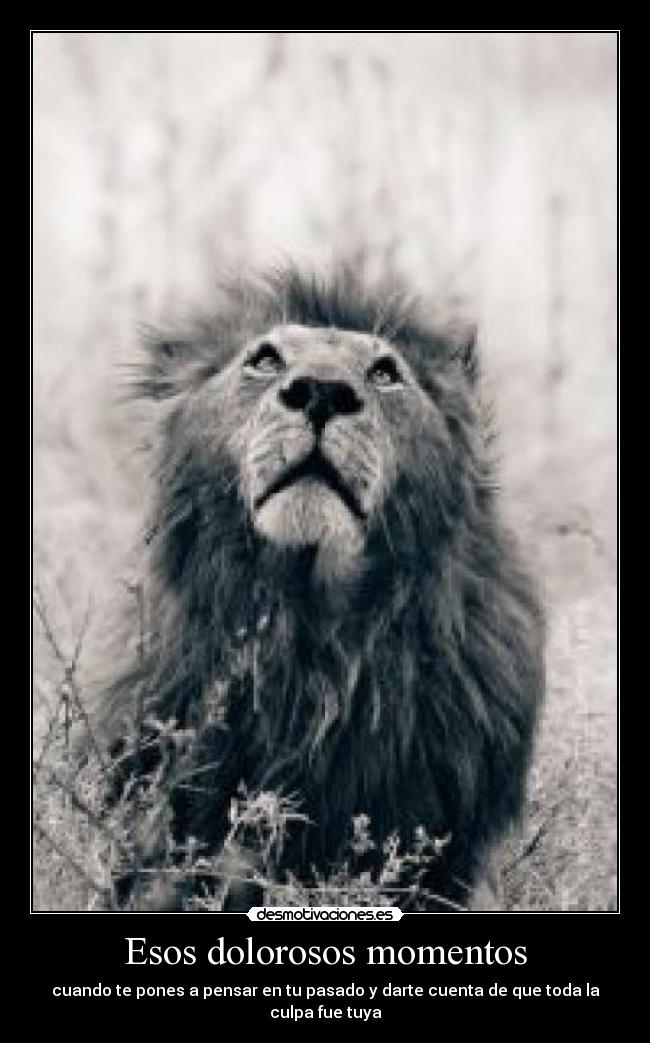 carteles momentos tragicos desmotivaciones