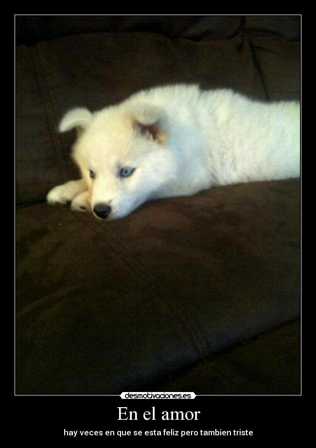 En el amor - hay veces en que se esta feliz pero tambien triste