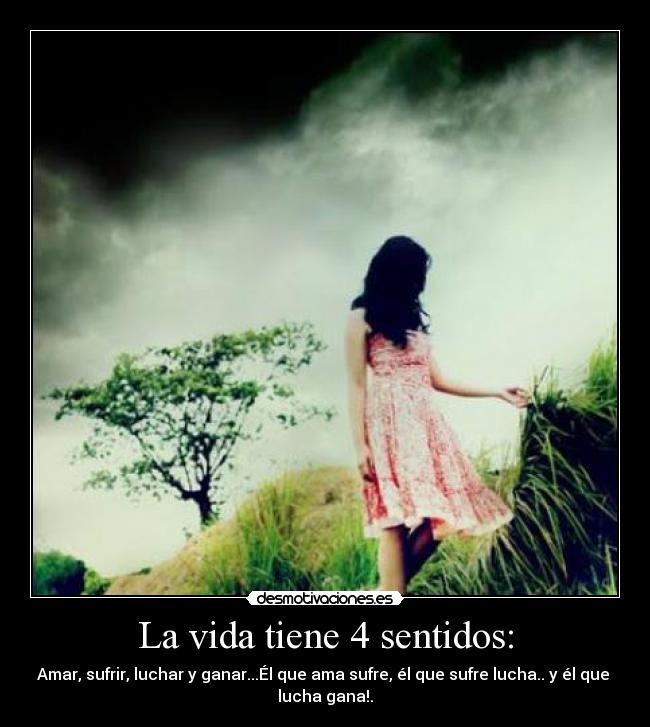 carteles vida anyara7 desmotivaciones