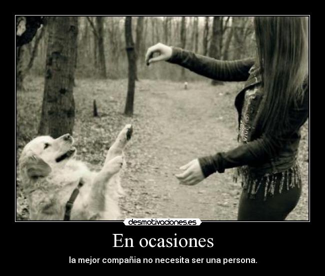 En ocasiones - la mejor compañia no necesita ser una persona.