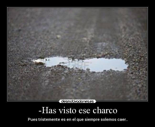 -Has visto ese charco -