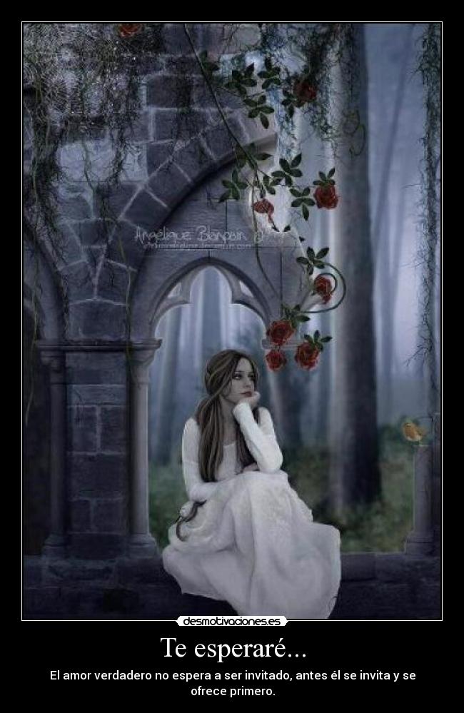Te esperaré... - El amor verdadero no espera a ser invitado, antes él se invita y se ofrece primero.