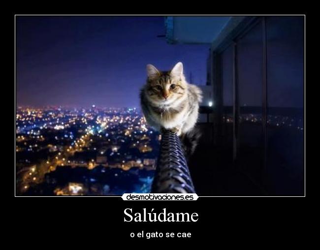 Salúdame - 