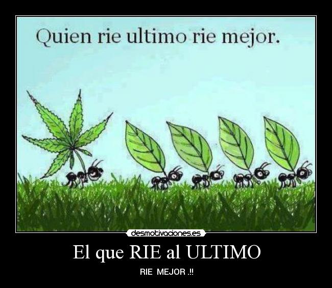 El que RIE al ULTIMO - RIE MEJOR .!!