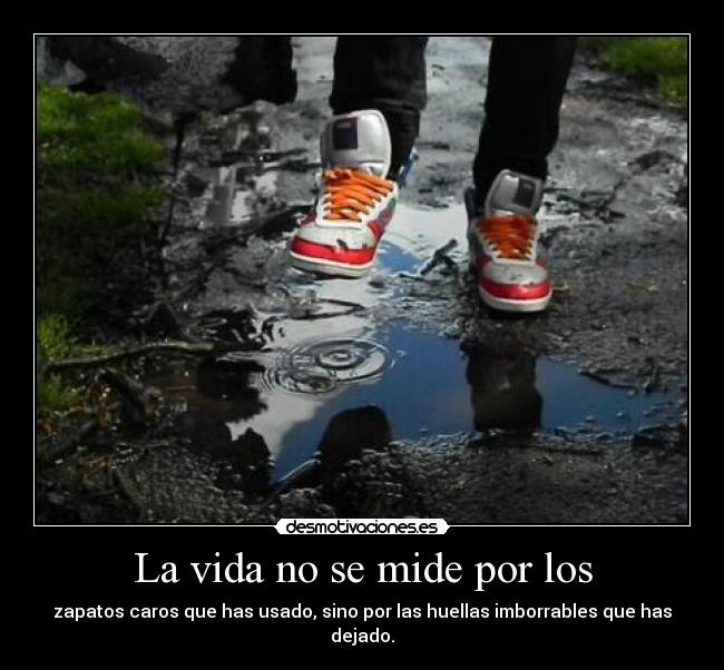 carteles vida voy playa hasta domingo conectare ser que robe wifi algun paquete desmotivaciones