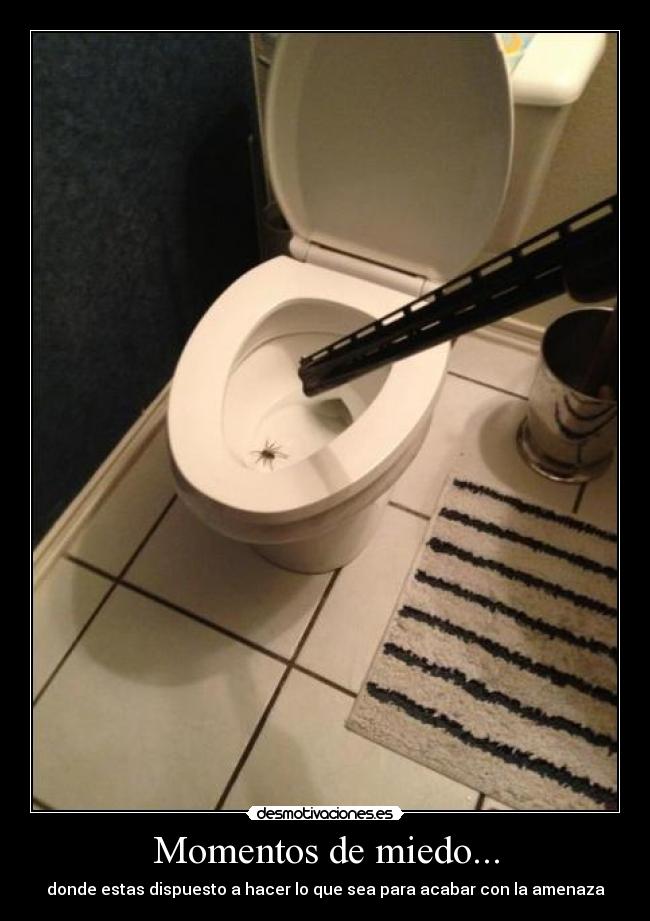 Momentos de miedo... - 