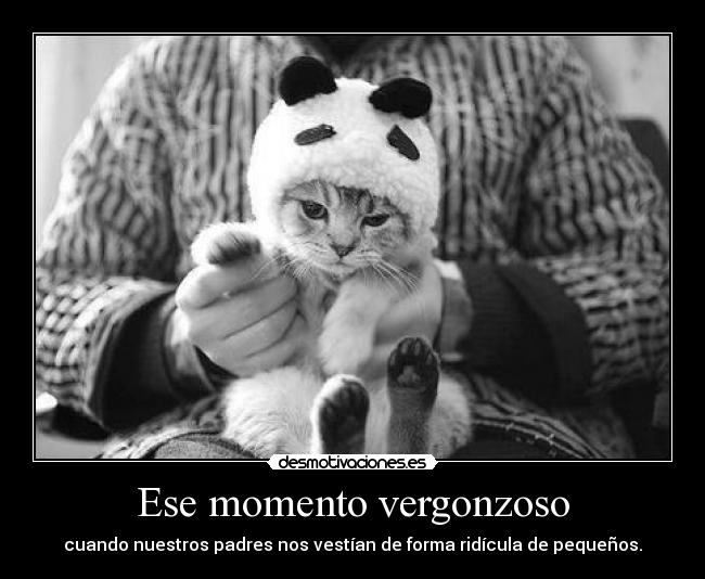 carteles papapitufo pitupac desmotivaciones