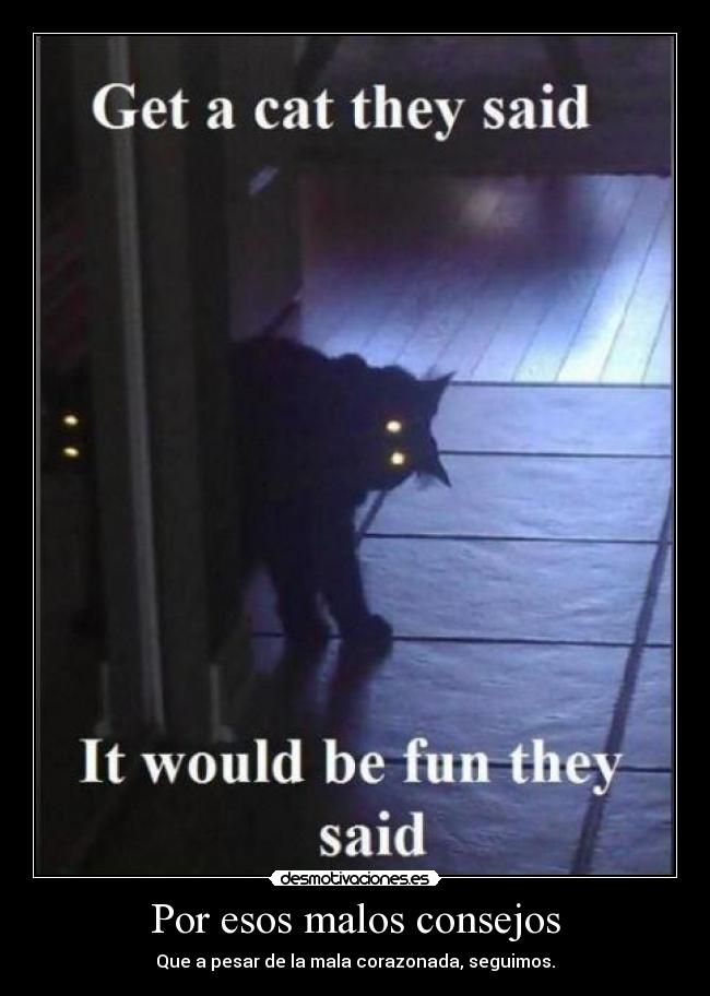 Por esos malos consejos - Que a pesar de la mala corazonada, seguimos.
