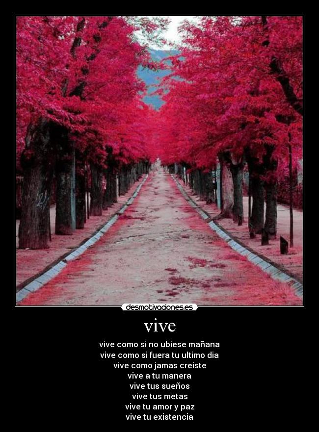 vive - 