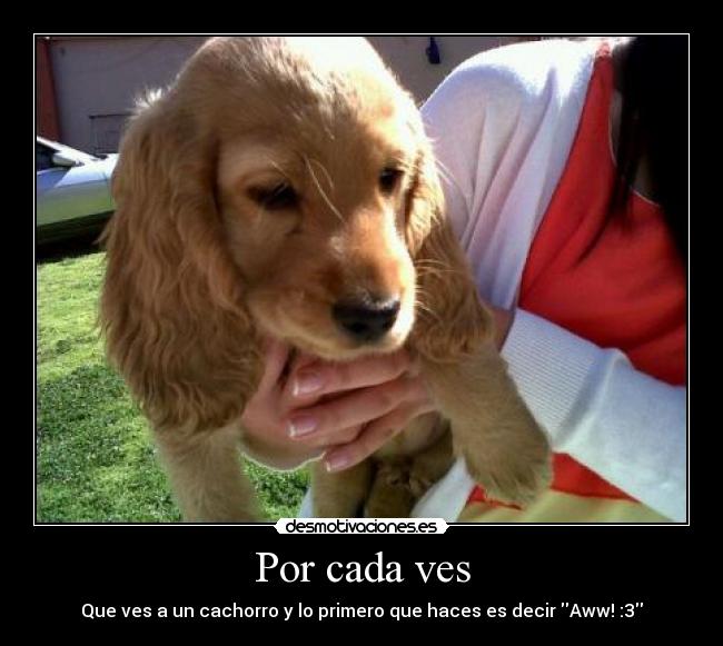 carteles cada vez que ves cachorro desmotivaciones
