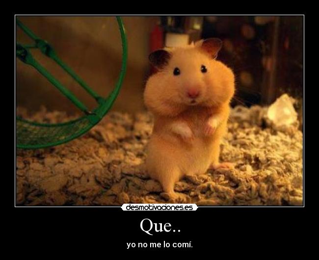 Que.. - yo no me lo comí.