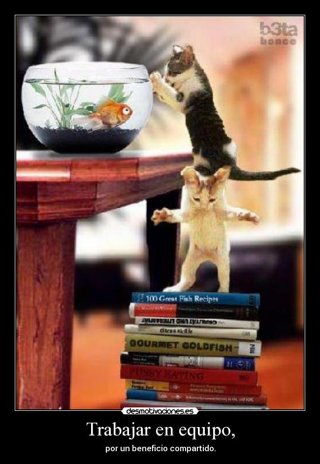 Trabajar en equipo, - por un beneficio compartido.