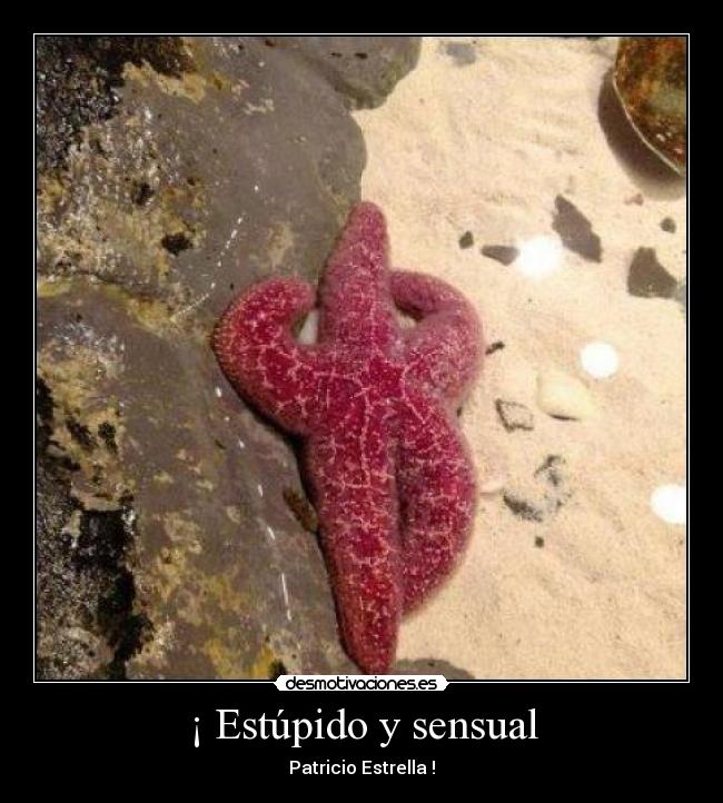 ¡ Estúpido y sensual -