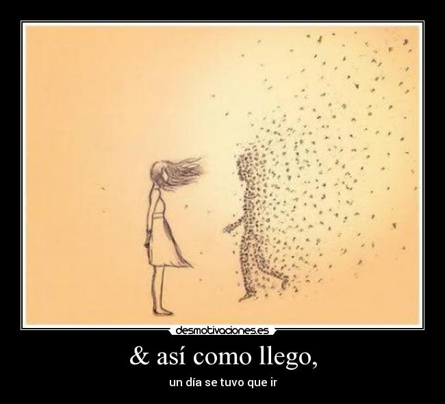 & así como llego, -
