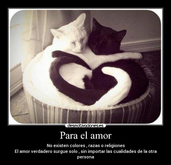 Para el amor - No existen colores , razas o religiones
El amor verdadero surgue solo , sin importar las cualidades de la otra persona