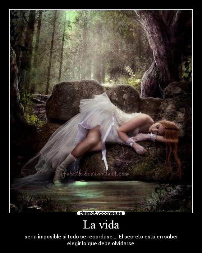 carteles vida olvidar que nos lastima desmotivaciones