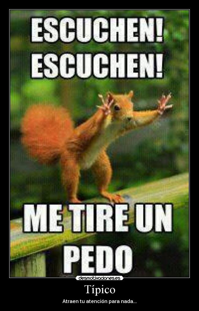 Típico - Atraen tu atención para nada...