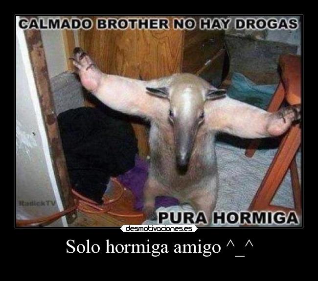 Solo hormiga amigo ^_^ -