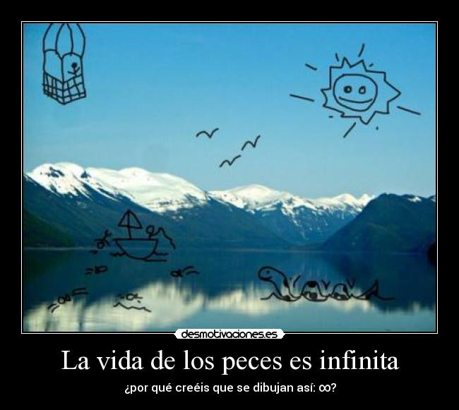 La vida de los peces es infinita - 