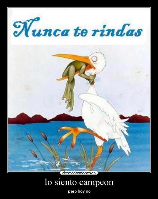 lo siento campeon - pero hoy no