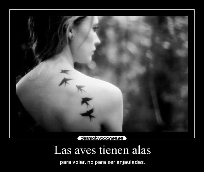 Las aves tienen alas -